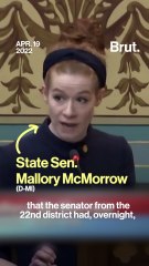 Michigan State Sen. slams GOP opponent for intolerance