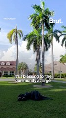 Zanele Muholi at Art Basel Miami Beach