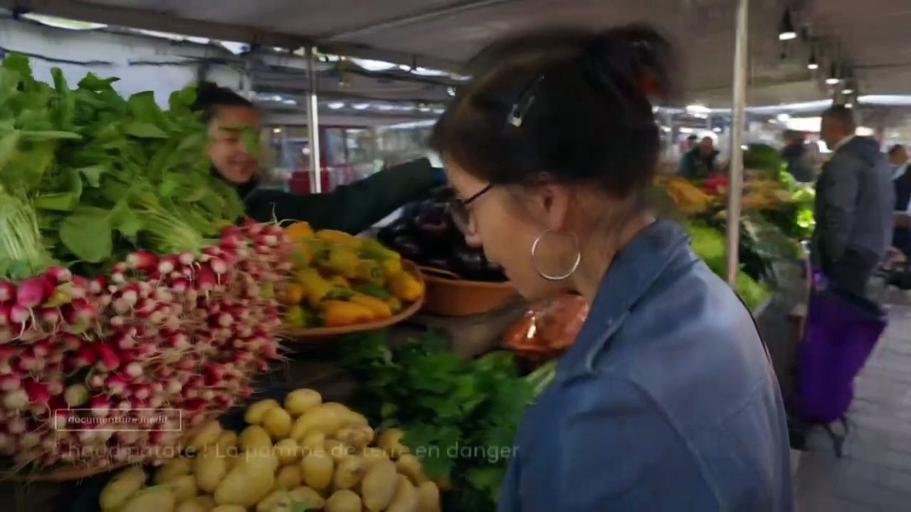 Chaud patate ! La pomme de terre en danger - 26 novembre