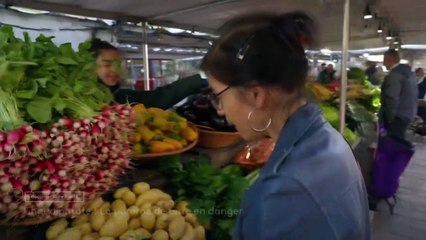 Chaud patate ! La pomme de terre en danger - 26 novembre