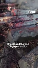 Train derailed in Ohio