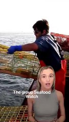 Brut explains: a new method for saving the whales