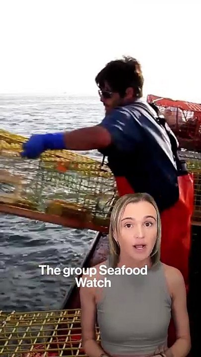 Brut explains: a new method for saving the whales
