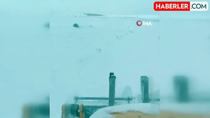 Sivas'ta Mahsur Kalan 4 Çoban ve Bin Koyun Kurtarıldı