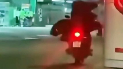 Cavalo é carregado por duas pessoas em moto em Nova Iguaçu