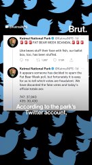 Fat Bear Week scandal