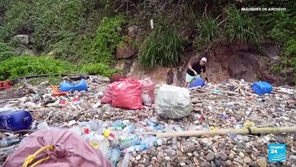 La contaminación por plásticos está en todas partes