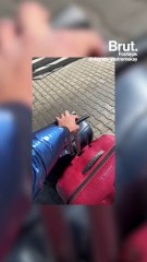 Tennis player Dayana Yastremska's story of fleeing Ukraine in the midst of war