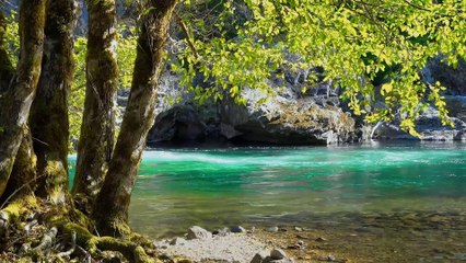 Morning Affirmations for Success