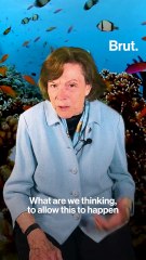 Veteran marine biologist Sylvia Earle reacts to the World Ocean Assessment