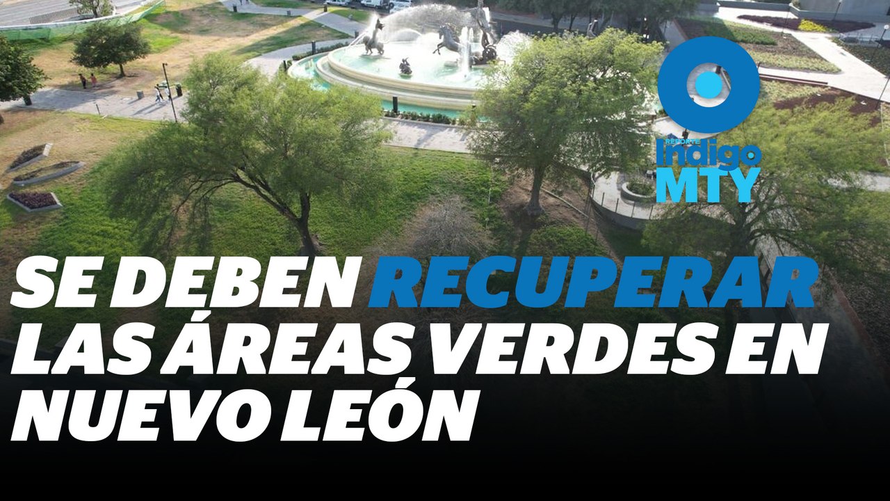El plan para reparar las áreas verdes y espacios públicos de Monterrey | Reporte Indigo