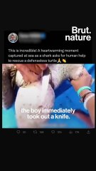 The truth behind this viral animal video