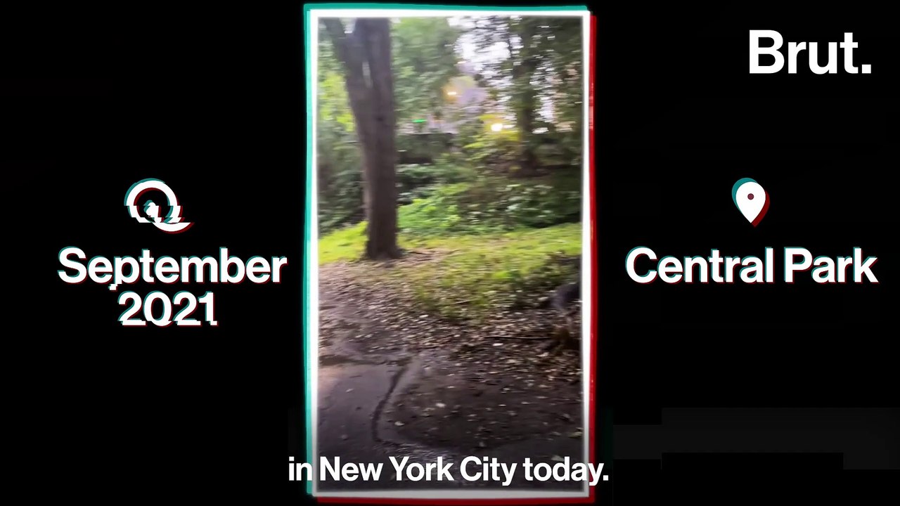 Documentary: Homeless in New York Part 2: Homeless and Hired