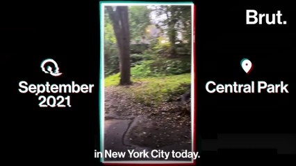 Documentary: Homeless in New York Part 2: Homeless and Hired