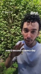 The realities of living with OCD