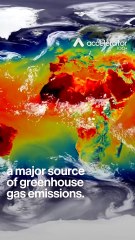 Three global problems and one unusual solution: Meet the startup Chanzi