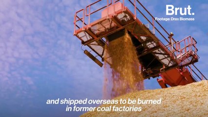 #BrutDocs: Fighting for the right to breathe