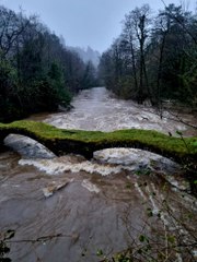 Mid Wales escapes worst Storm Bert damage as flood alerts stay in effect