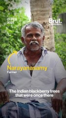 There's Trouble In Vedanthangal Bird Sanctuary