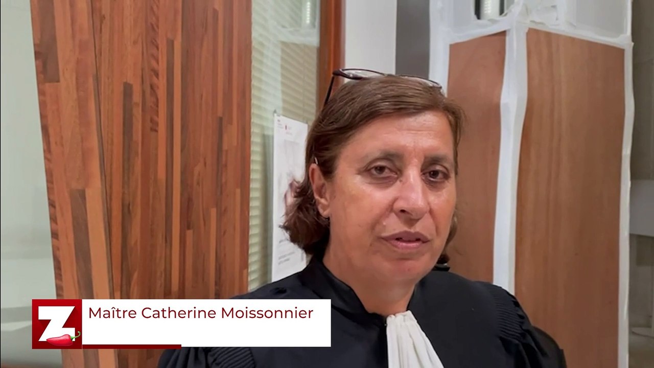 Maître Catherine Moissonnier fait le point après l'audience