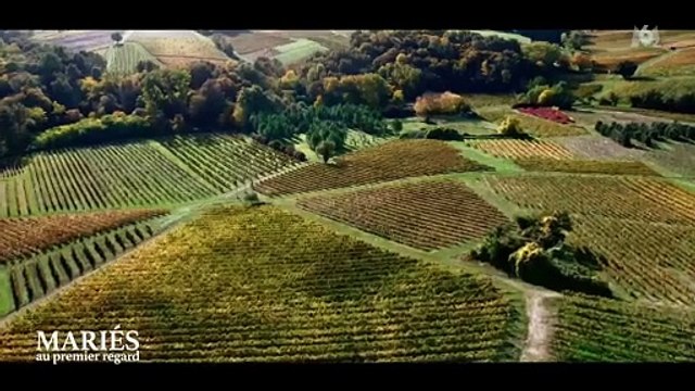 Gilbert Bou Jaoudé annonce l'abandon de Camille à Romain dans Mariés au premier regard