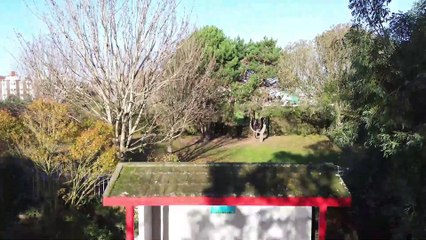 Island City Voices: A call with Freya to her late brother, Colin