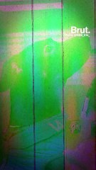 Meet the pets who returned from Ukraine