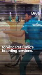 Two men detained for beating up a dog