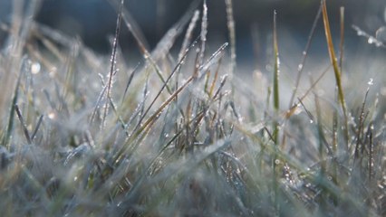 What is the policy for snow in Bristol schools?