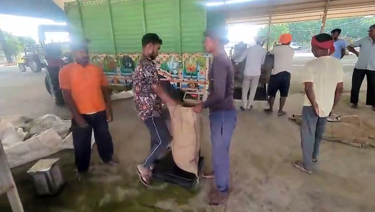 खुली मंडी की अपेक्षा समर्थन मूल्य पर मूंग बेचान में किसानों की बढ़ी दिलचस्पी