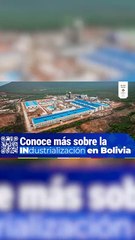 POFOMA rescata aves silvestres (4 informa)