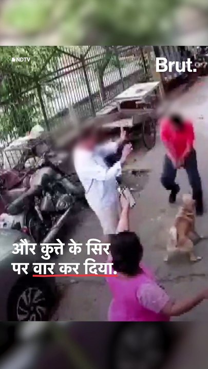 Neighbourhood brawl over barking dog