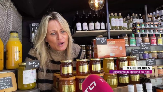 Vent violent : aucun train au départ de Saint-Étienne