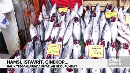 Hafta Sonu Ana Haber 24 Kasım 2024 Pazar