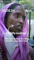 Two-year-old killed by stray dogs