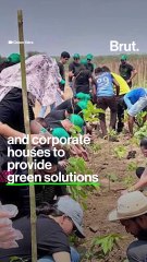 This NGO turns abandoned lands into urban forests