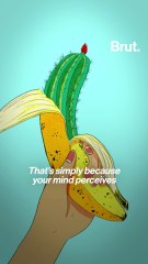 Does it hurt the "first time"?