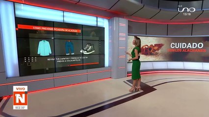 SCZ: Cómo prevenir picadura de alacrán