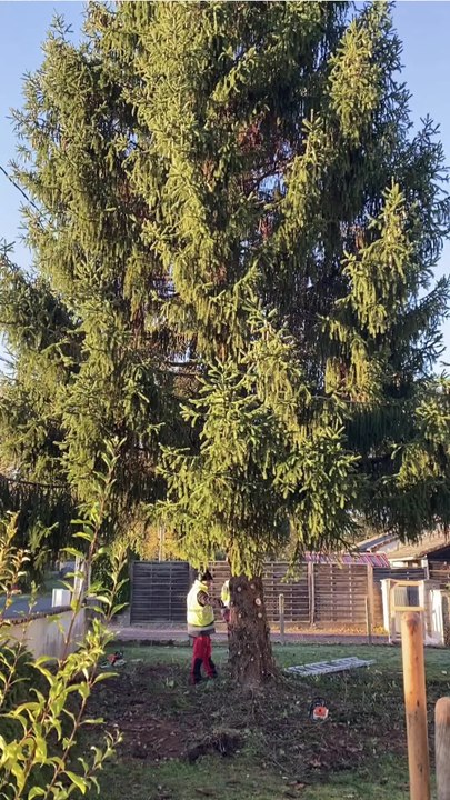 Le grand sapin de noël de Périgueux