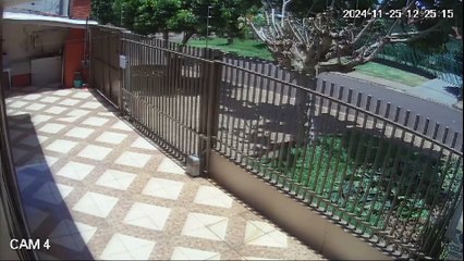 Vídeo mostra ciclista sendo arremessado na via após colisão com carro