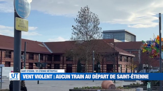 Alerte orange au vent dans la Loire / 25è journée internationale de lutte contre les violences faites aux femmes / Les Verts gagnent face à Montpellier / Le marché de noël a ouvert à Saint-Etienne