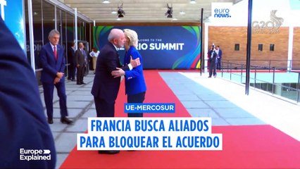 Mercosur: Francia intenta movilizar a una minoría de bloqueo contra el acuerdo comercial