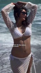 Life’s Daily Vibes: