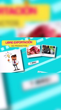 Brasil en su peor momento en cuanto al futbol (15 deportes)