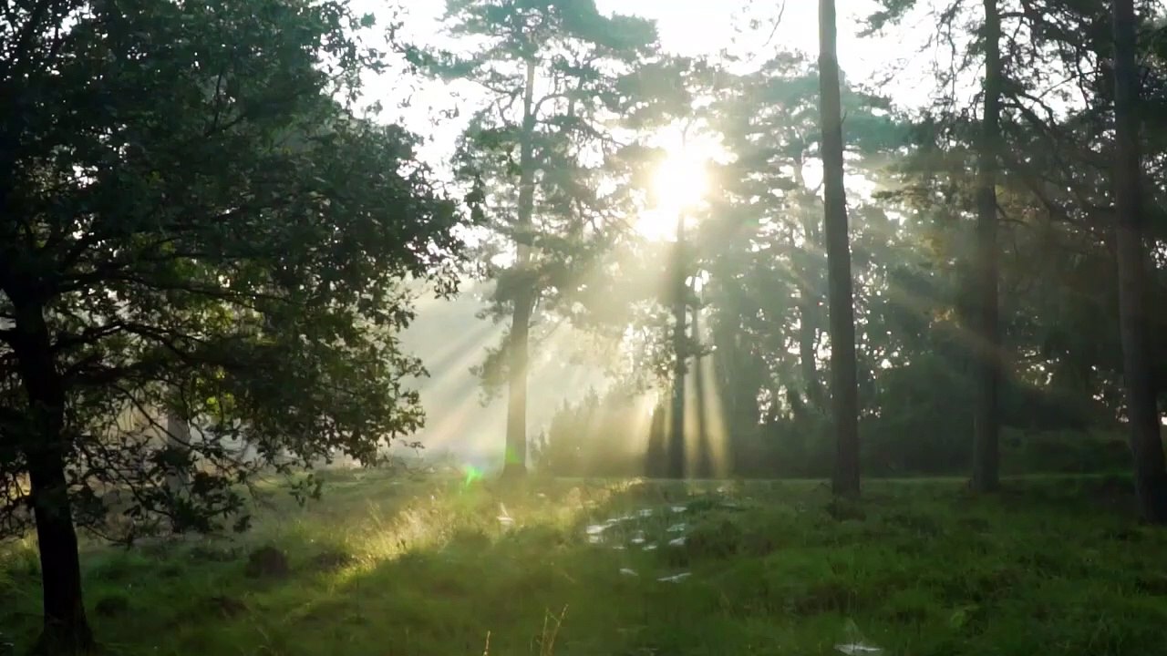 Soulsavers & Dave Gahan - The Last Time ( Eric Lymon Rework )