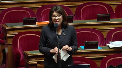 Participation française au budget de l'UE : inquiétudes au Sénat sur le financement de l’islamisme