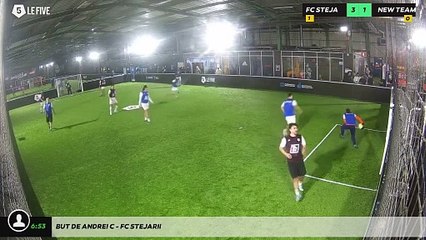 But de Andrei C - Fc Stejarii