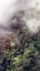 Divisan aeronave accidentada Cerro Pico Blanco | 25-11-2024