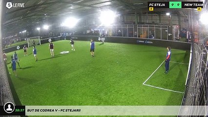 But de Codrea V - Fc Stejarii