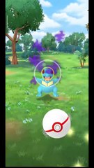 Pokémon GO-Shadow Totodile